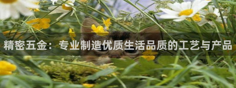 琳琅娱乐除7O777