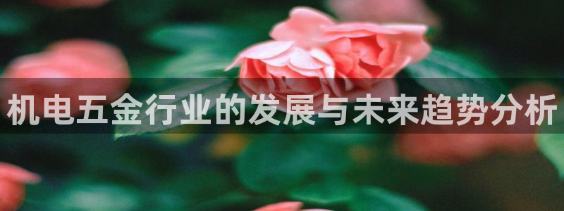 琳琅娱乐代理人是谁