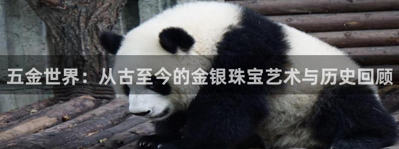 琳琅娱乐平台怎么样啊