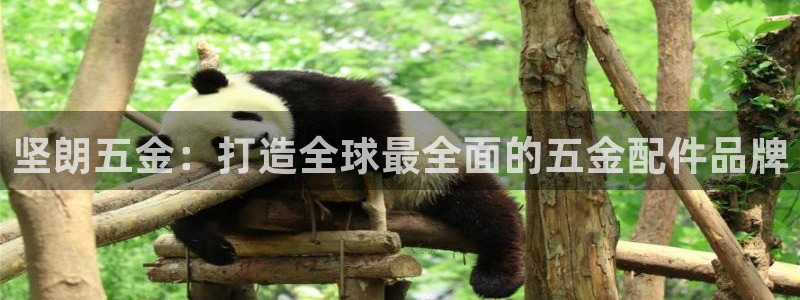 qq飞车琳琅娱乐组