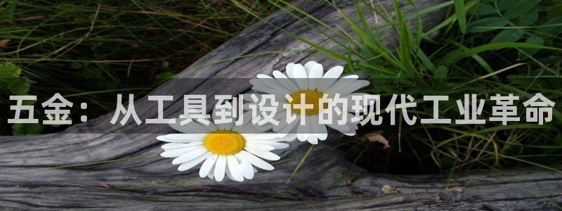 琳琅娱乐温柔乡网站