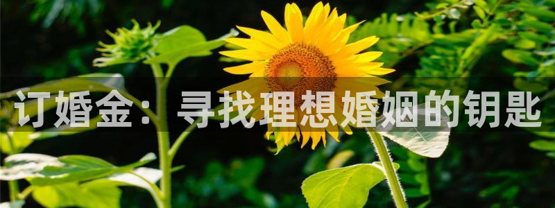 琳琅娱乐装7O777