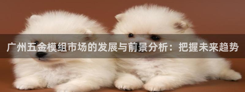 娱乐从琳琅榜开始