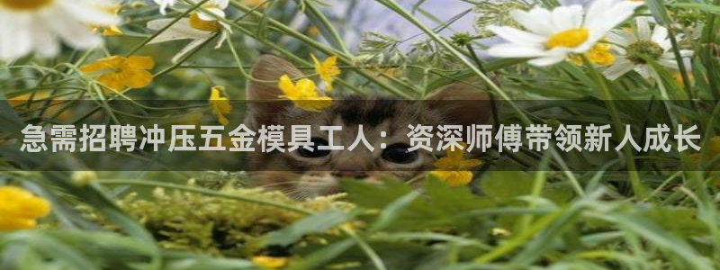 琳琅娱乐在线观看