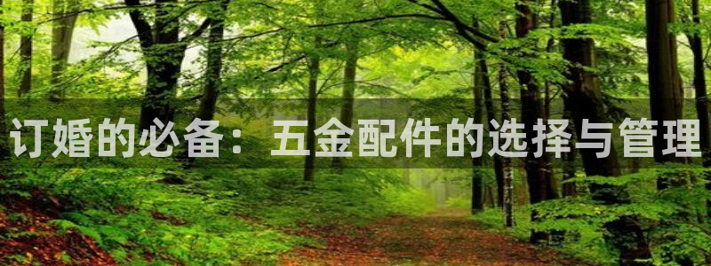 琳琅娱乐组飞车