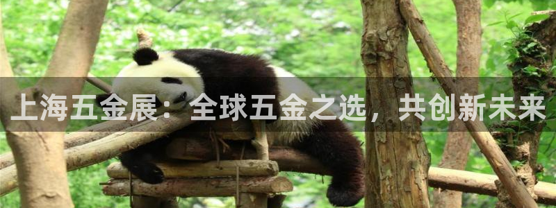 琳琅娱乐主管是谁