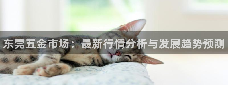 琳琅娱乐装7O777