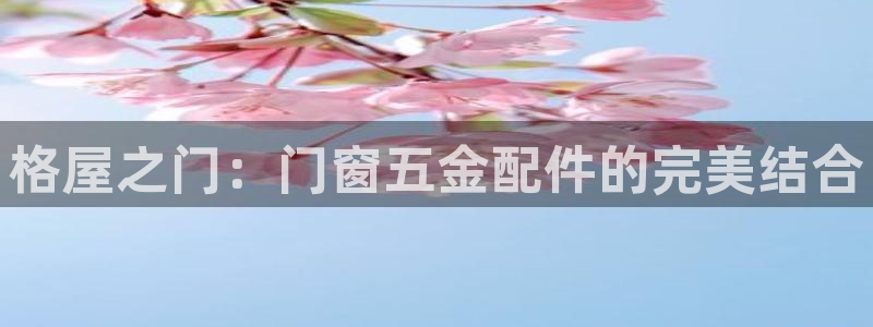 琳琅社区综艺文化娱乐