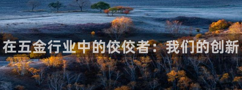 琳琅天上qq飞车娱乐