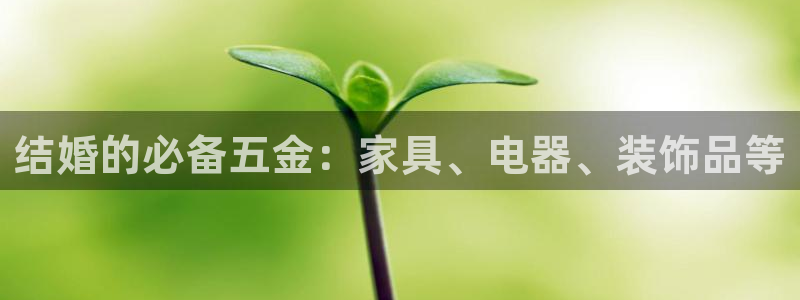 琳琅娱乐组飞车