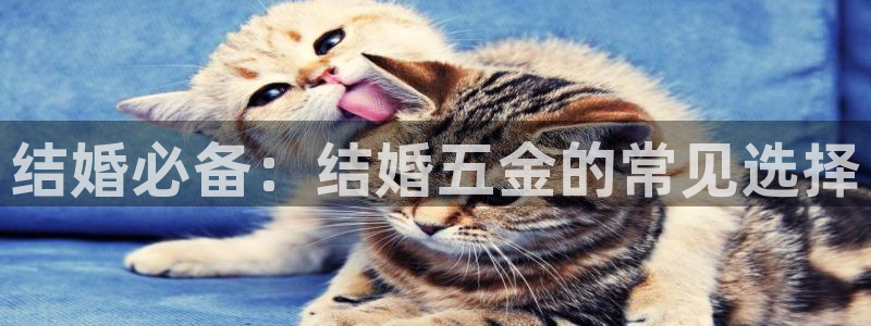 琳琅科技娱乐机器人