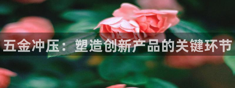 琳琅娱乐前7O777