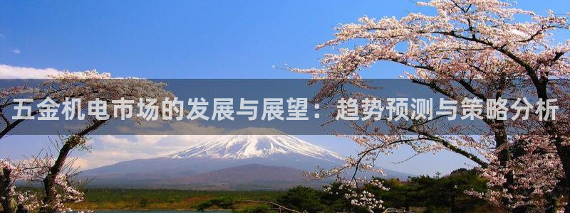 琳琅科技娱乐机器人