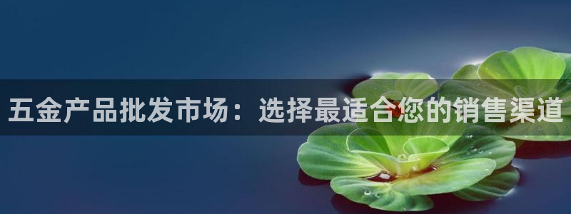 琳琅科技娱乐机器人插件