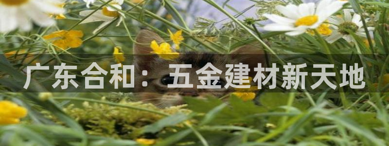 琳琅娱乐工作室招聘