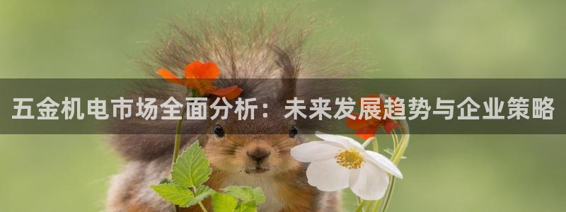 琳琅娱乐周7O777