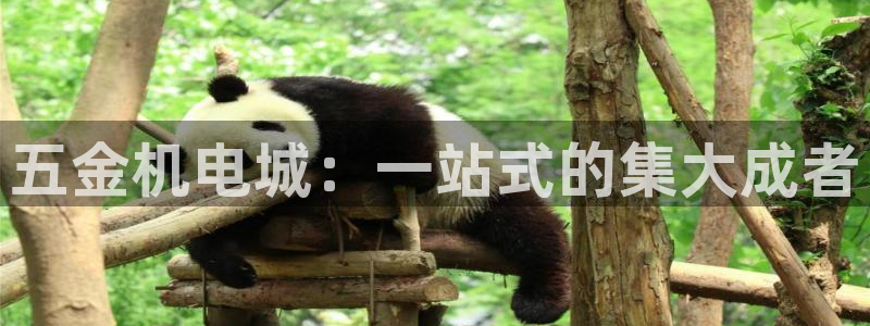 琳琅娱乐代理