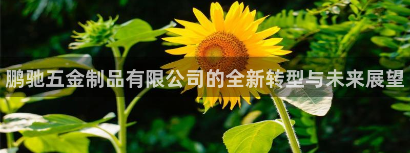 琳琅娱乐社区600u