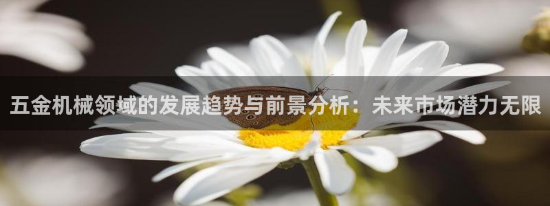 琳琅娱乐注册登录