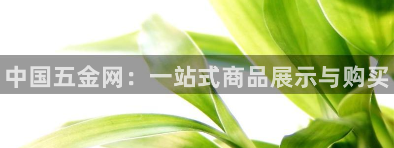 琳琅娱乐社区宅男