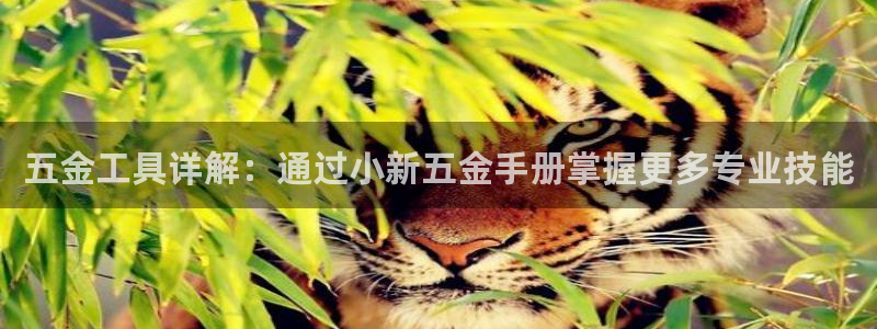 琳琅娱乐机器人