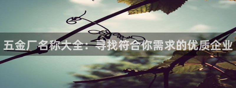 祖龙娱乐官网爱在琳琅