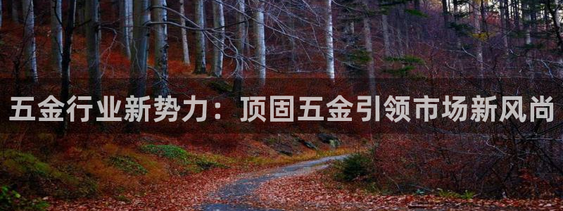 琳琅科技娱乐机器人