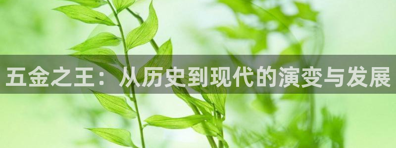 琳琅社区文艺娱乐