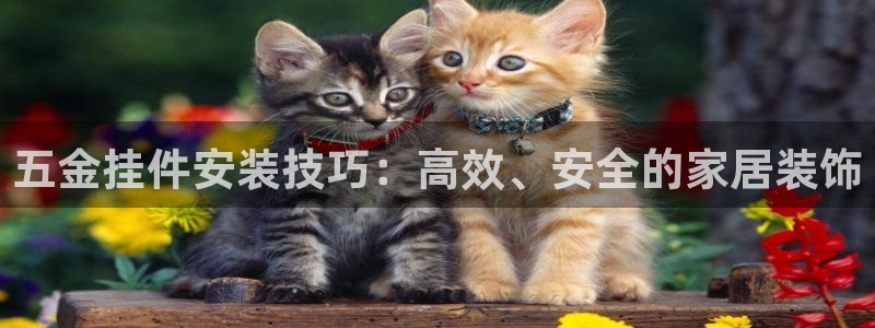 琳琅娱乐黑钱