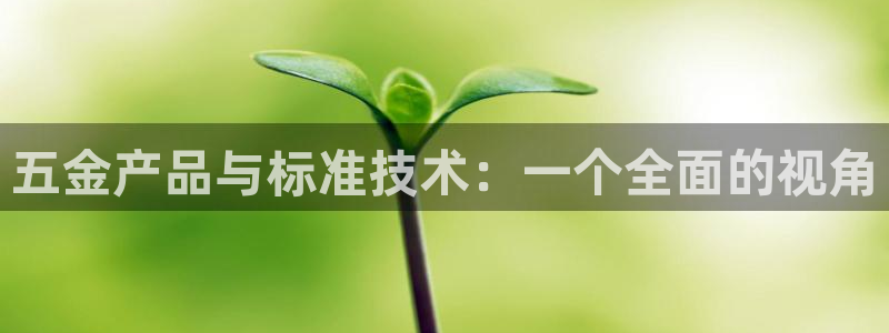 琳琅娱乐代理怎么做的