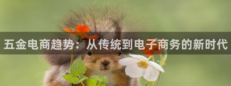 琳琅娱乐黑钱