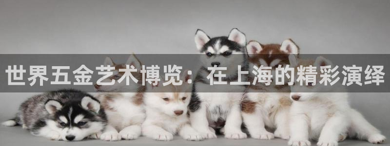 琳琅聊娱乐